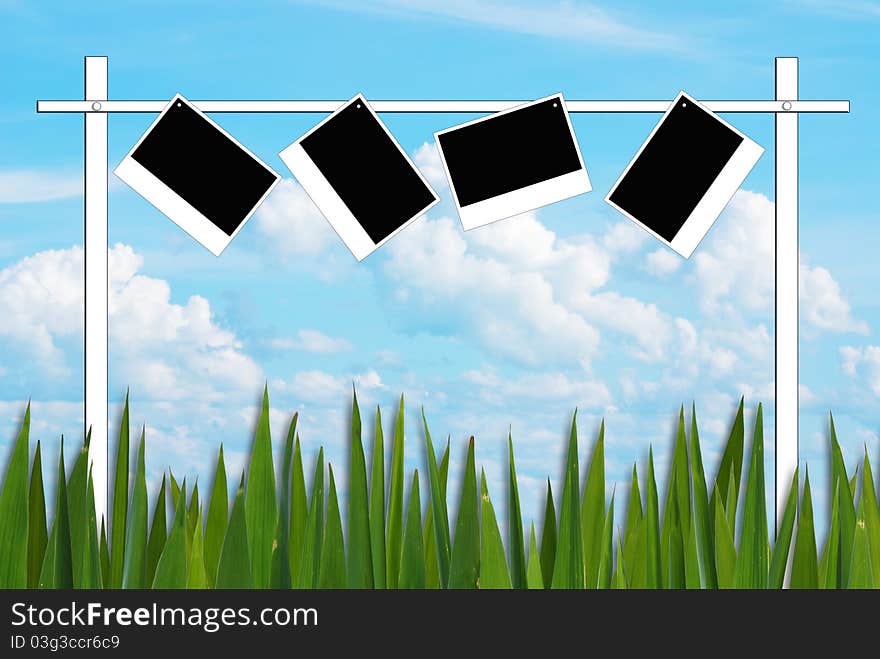 Blank sign background of grass pattern on nice blue sky