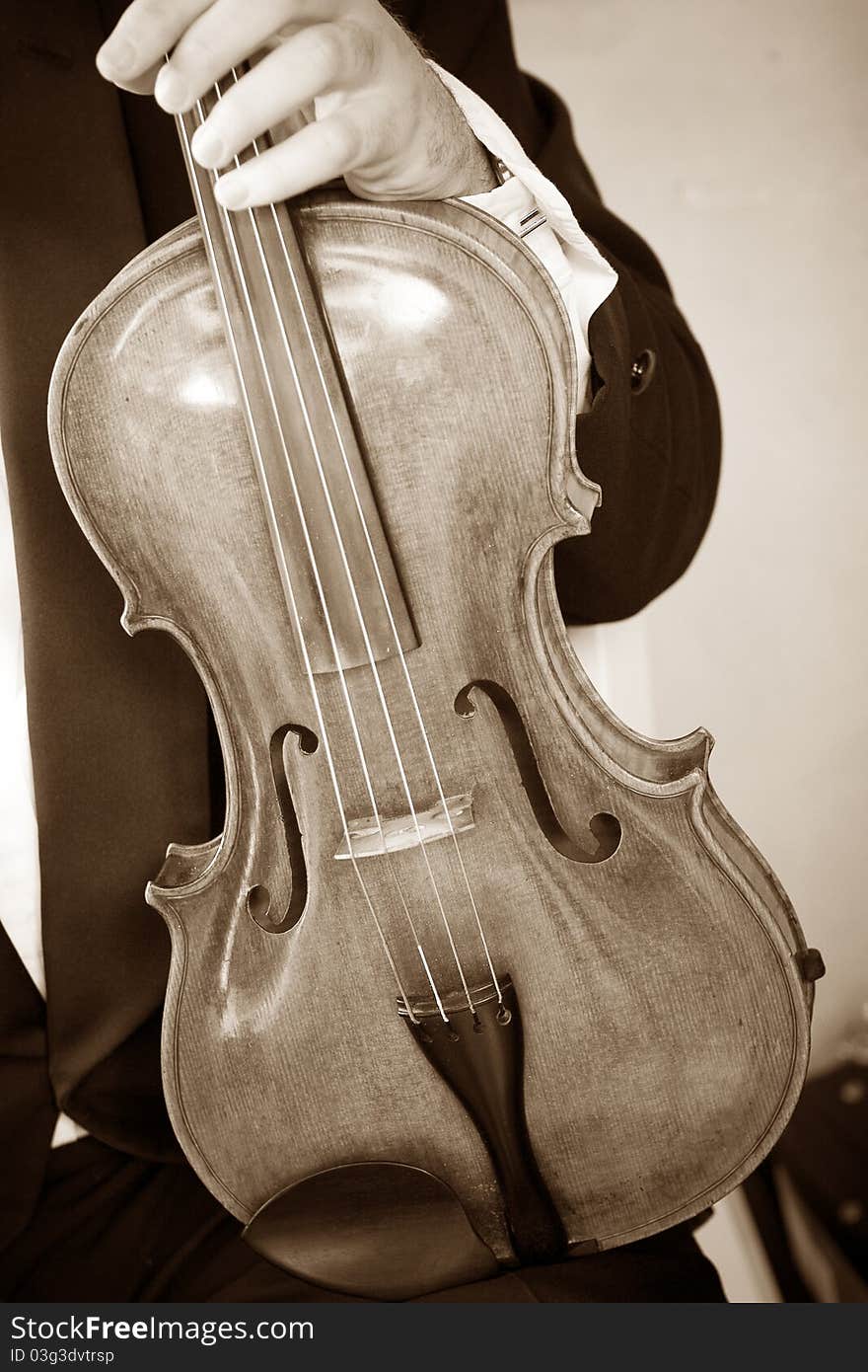 A close up of a violin. A close up of a violin