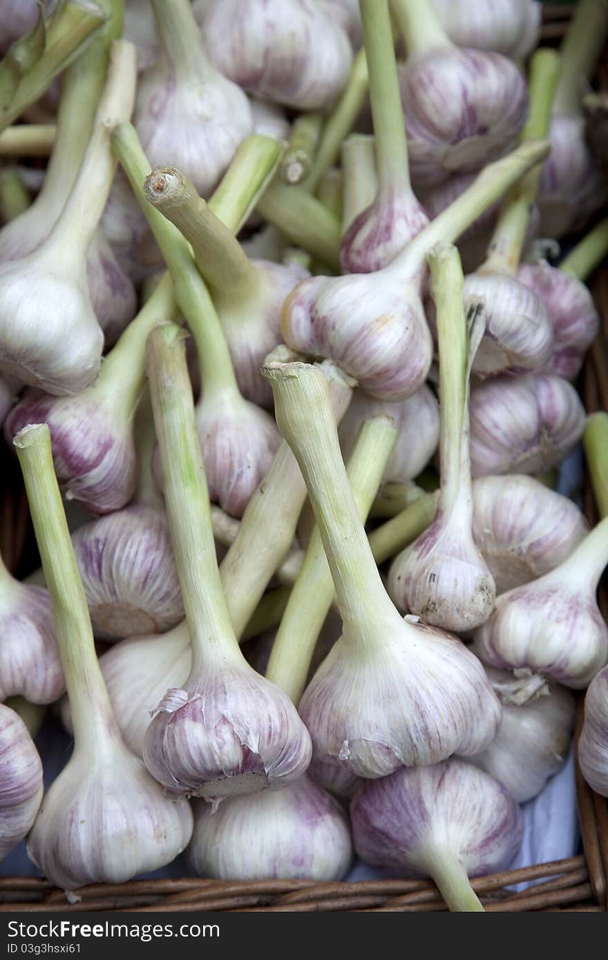 Garlic for sale on market stall. Garlic for sale on market stall