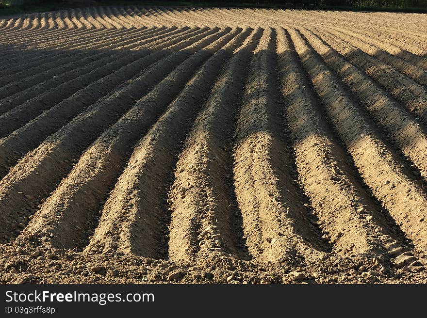 Furrows