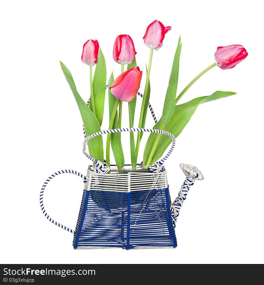 A Bouquet Of Tulips In A Vase-watering