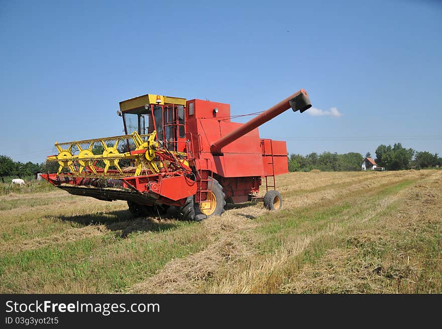 Combine working on a wheat field