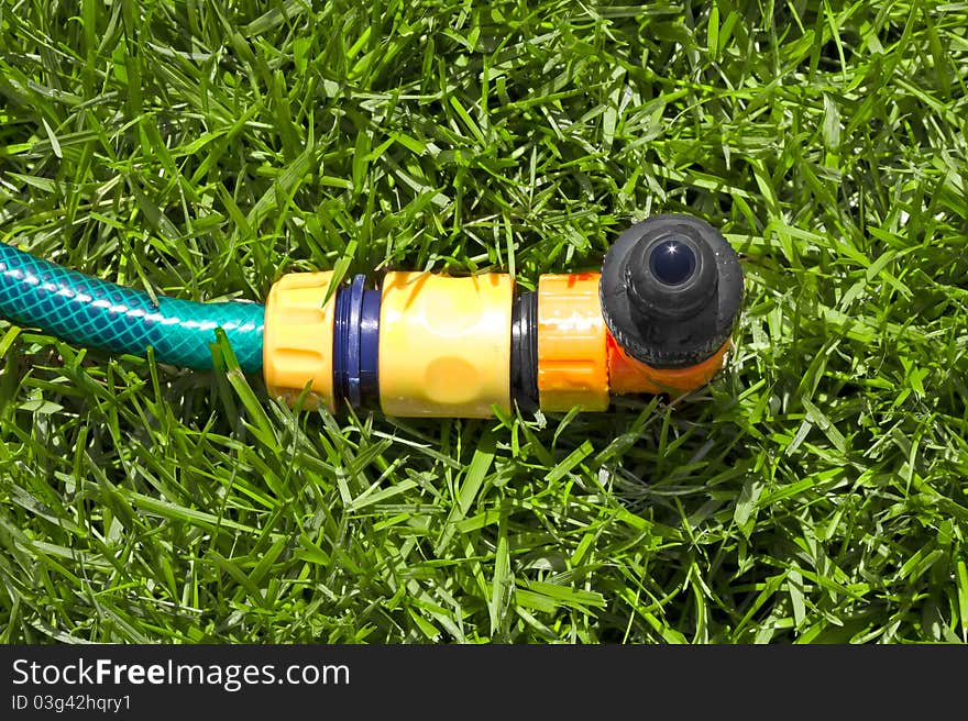 Lawn with Sprinkler