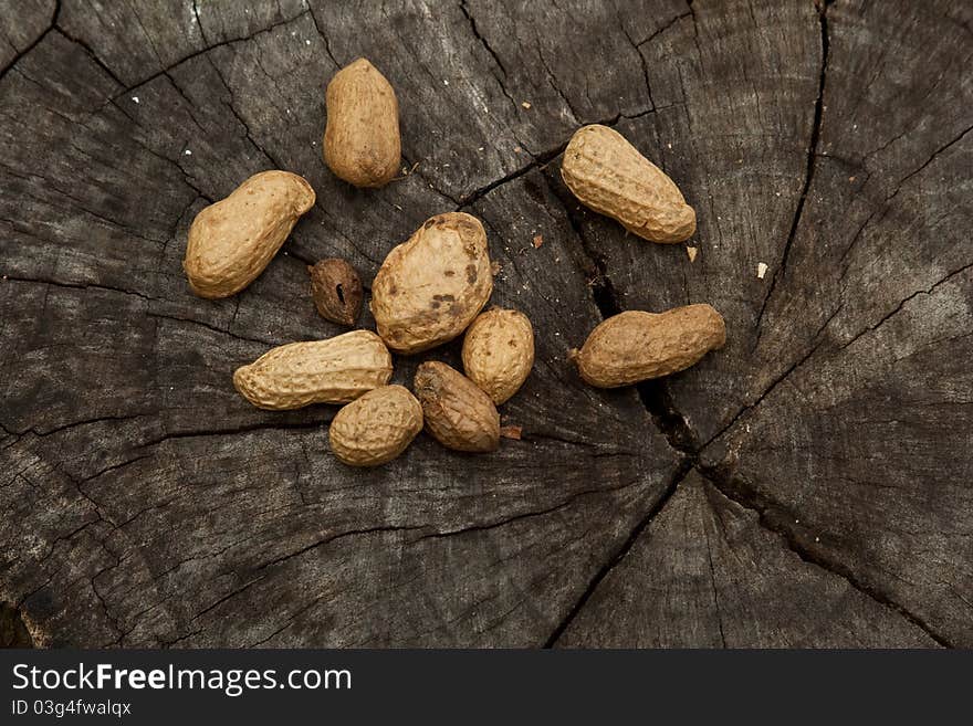 Groundnuts on a stump of tree