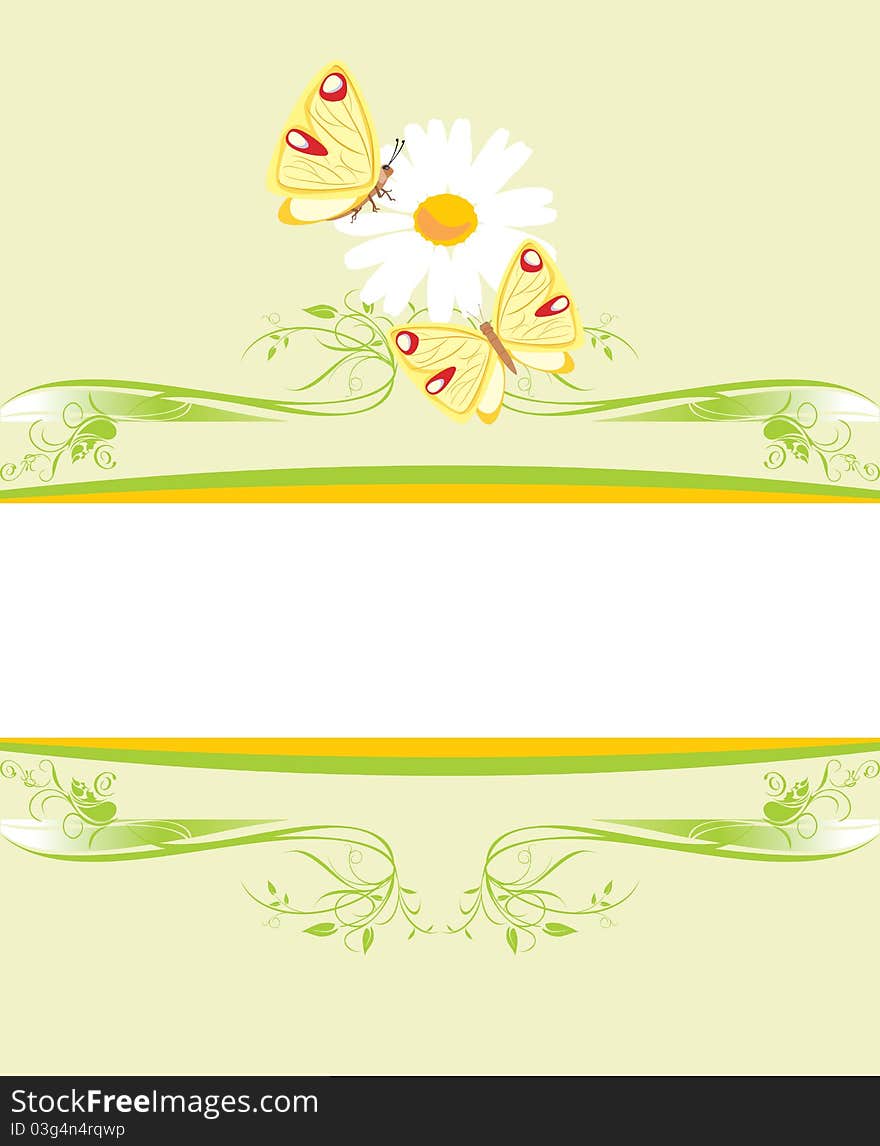 Chamomile and butterflies on the decorative frame. Illustration