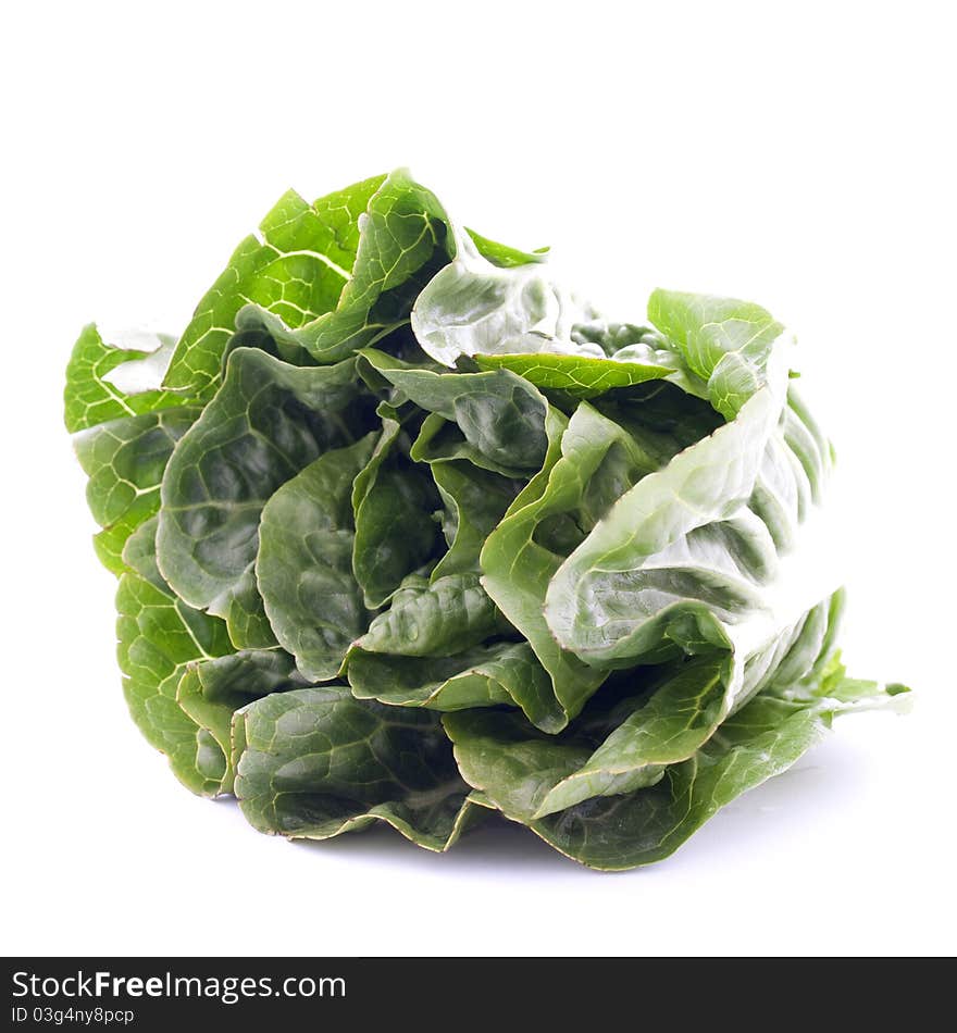 Romaine Lettuce