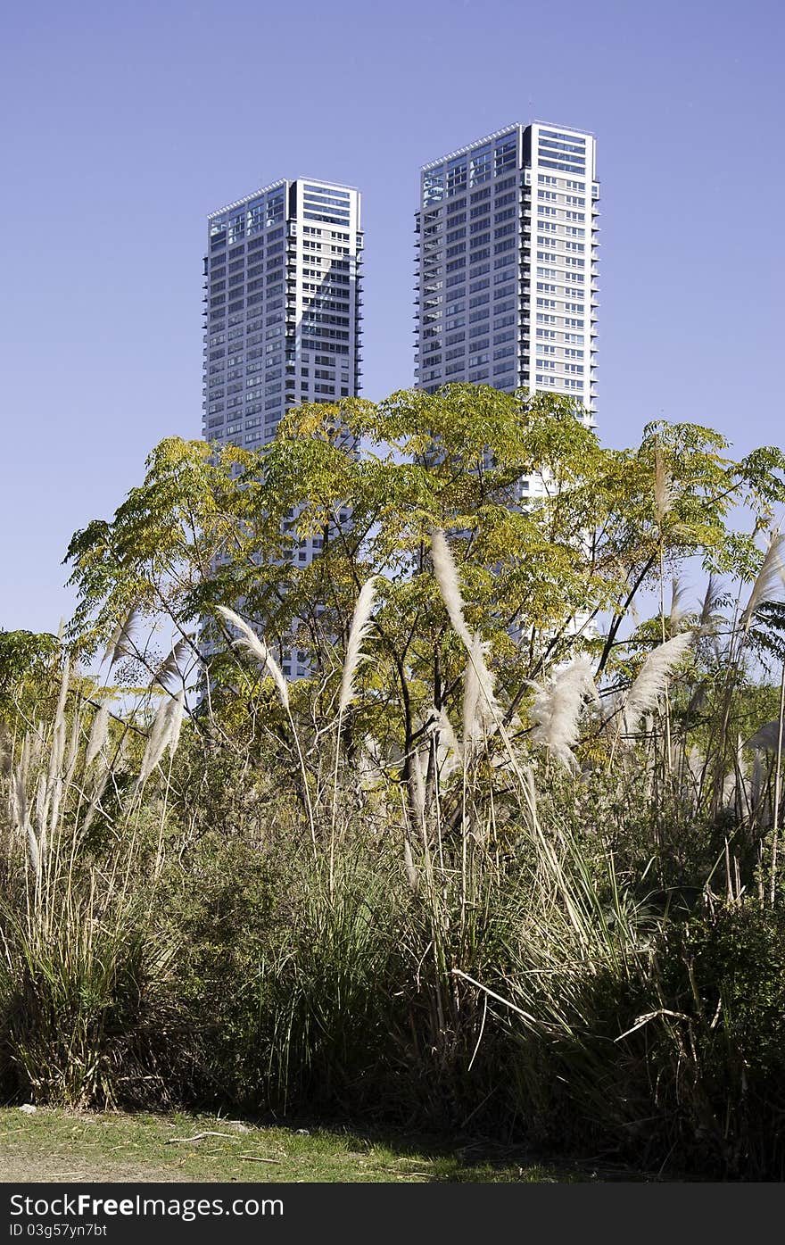 The city behind the nature in ecological reserve. The city behind the nature in ecological reserve