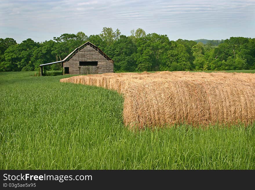 Rolls of hay in a field in front of a barn. Rolls of hay in a field in front of a barn