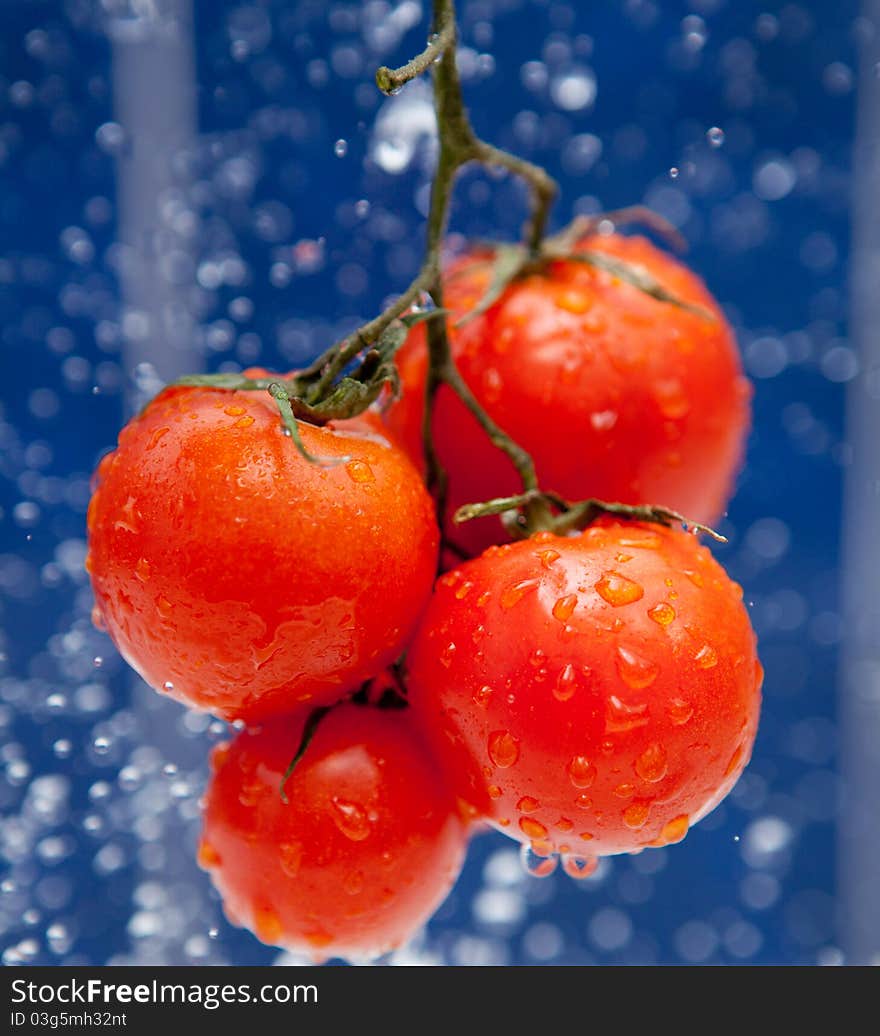 Fresh red tomato in the drops of water. Fresh red tomato in the drops of water