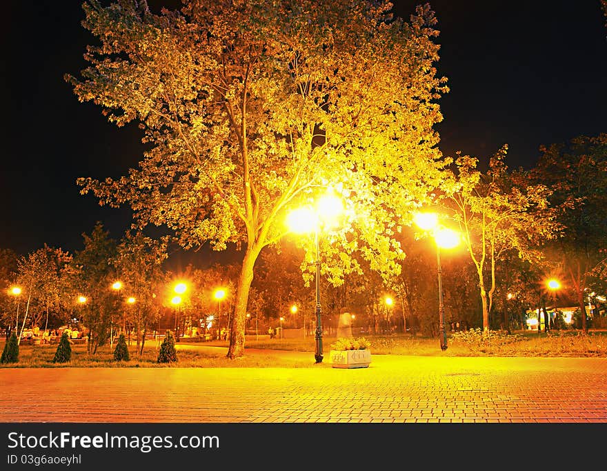 City park at night