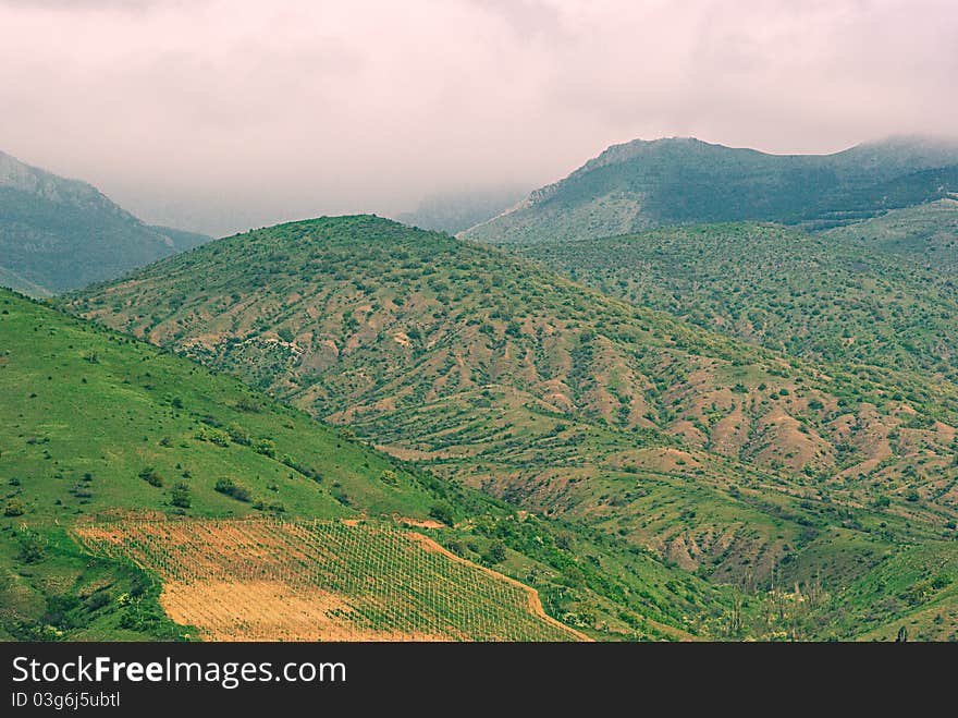 Panorama of a green hill. Panorama of a green hill