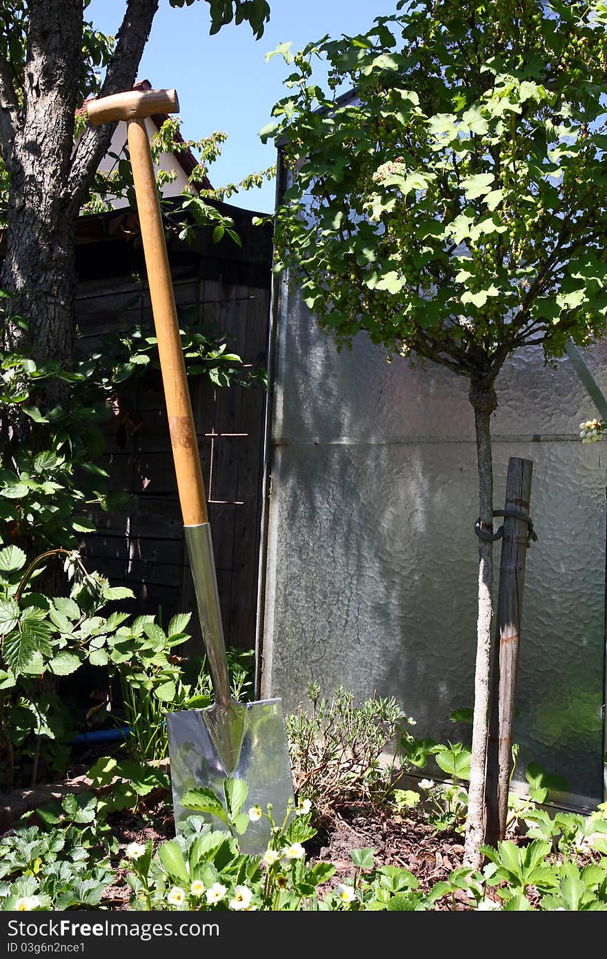 Spade in a flower bed with a greenhouse in the background