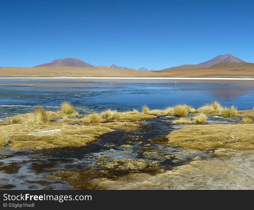 Altiplano - high altitude plateau in the Andes on the border of Bolivia, Chile and Argentina. On the Altiplano many volcanoes, lagoons with flamingos, salt flats and high desert. Altiplano - high altitude plateau in the Andes on the border of Bolivia, Chile and Argentina. On the Altiplano many volcanoes, lagoons with flamingos, salt flats and high desert.