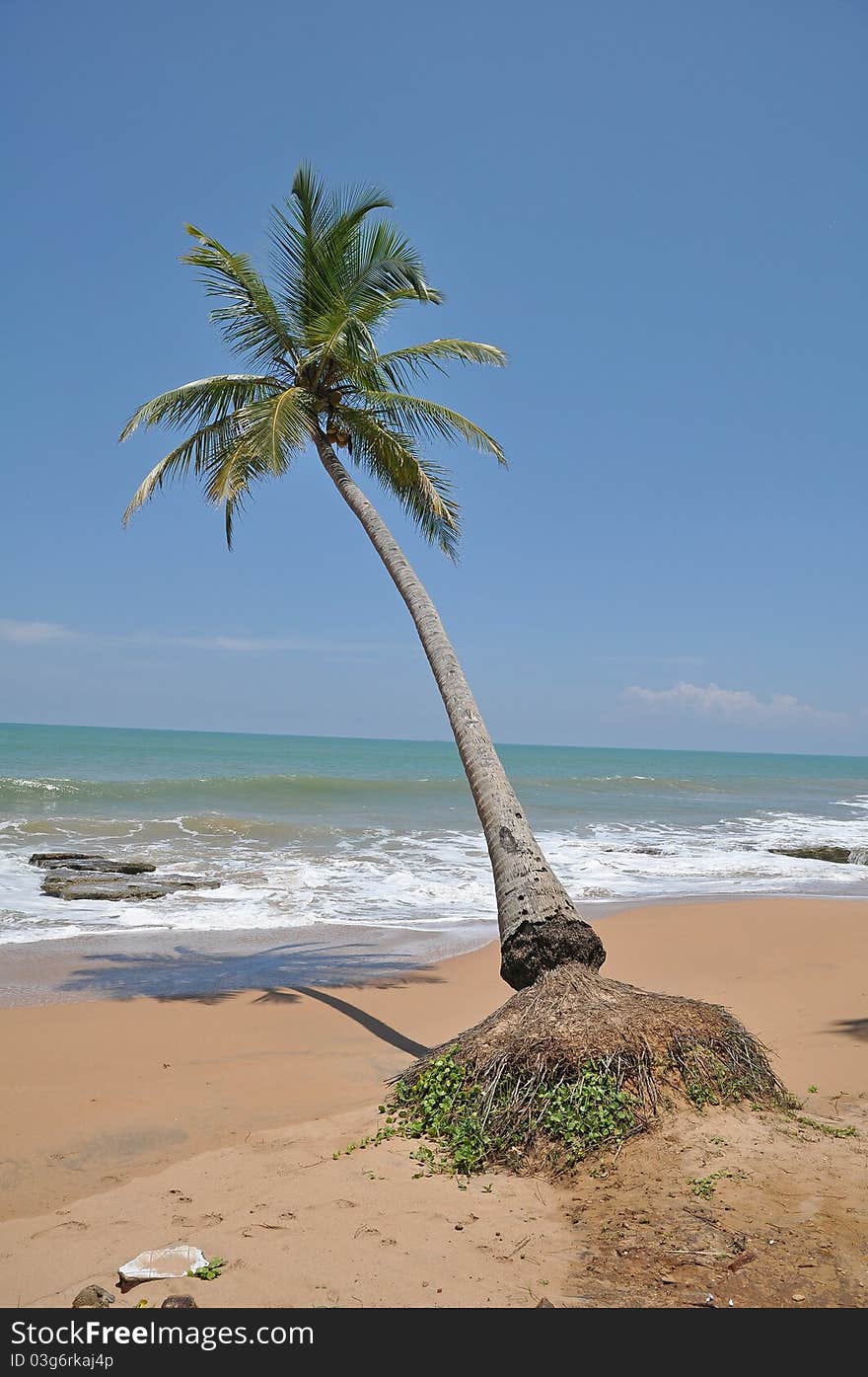 Kosgoda beach,Sri Lanka