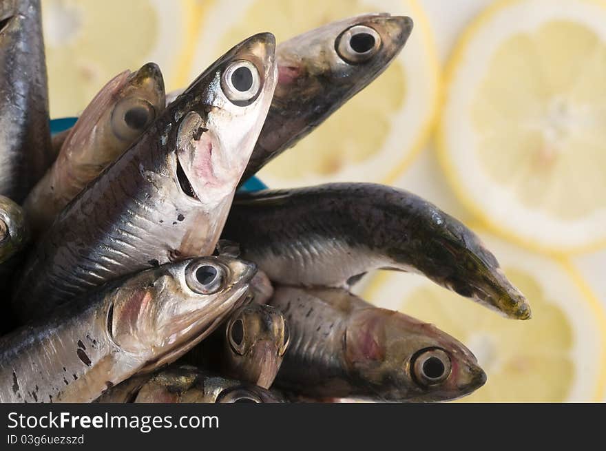 Anchovies closeup and lemon slices