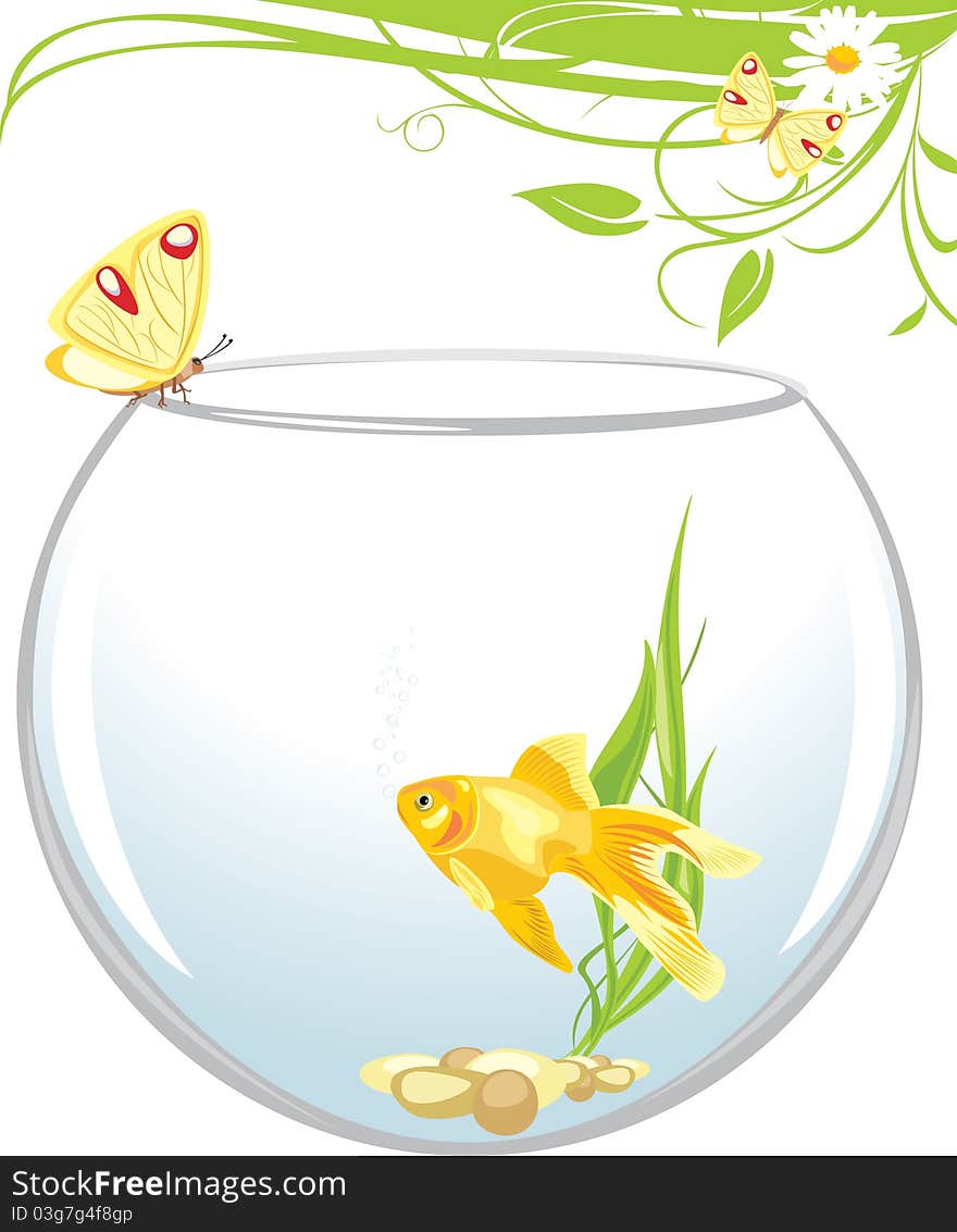 Goldfish And Butterfly Sitting On An Aquarium