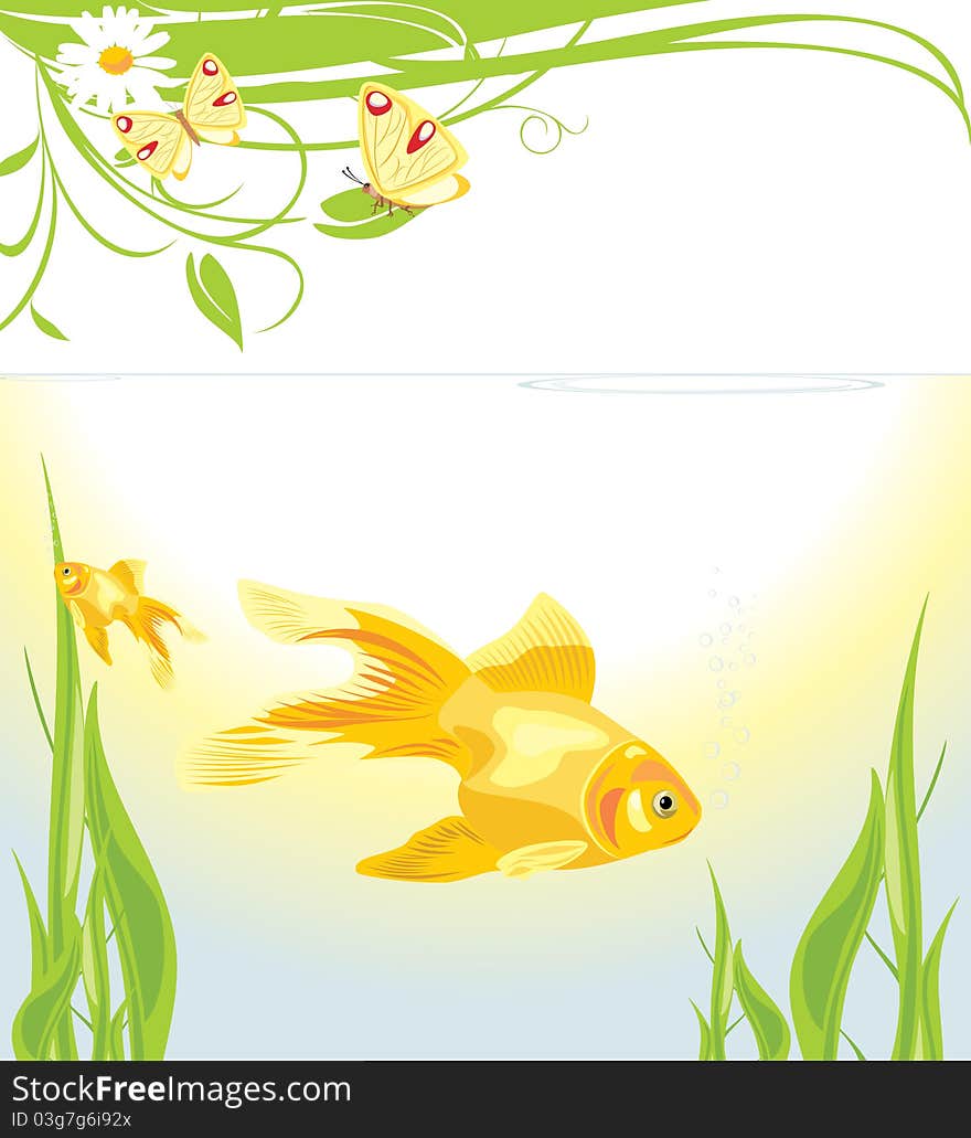 Goldfishes Among Algae