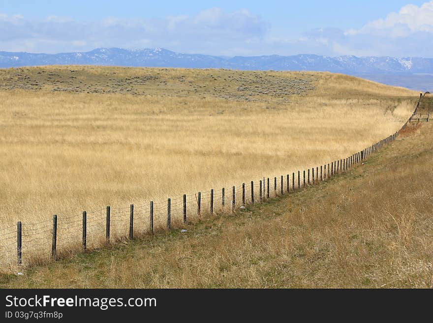 Grazing field in Eastern Wyoming. Grazing field in Eastern Wyoming