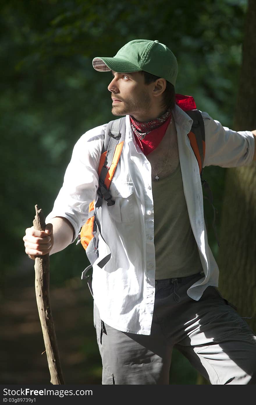 Male hiker with stick walking in forest. Male hiker with stick walking in forest