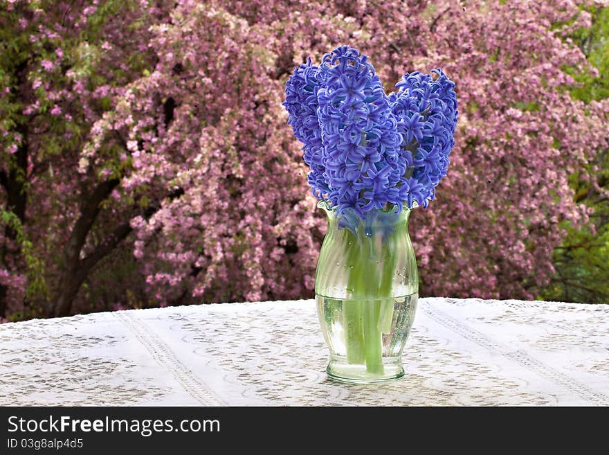 A bouquet of purple hyacinths in a glass vase sits on a table with a lace tablecloth. A tree with beautiful pink blossoms is in the background. A bouquet of purple hyacinths in a glass vase sits on a table with a lace tablecloth. A tree with beautiful pink blossoms is in the background.