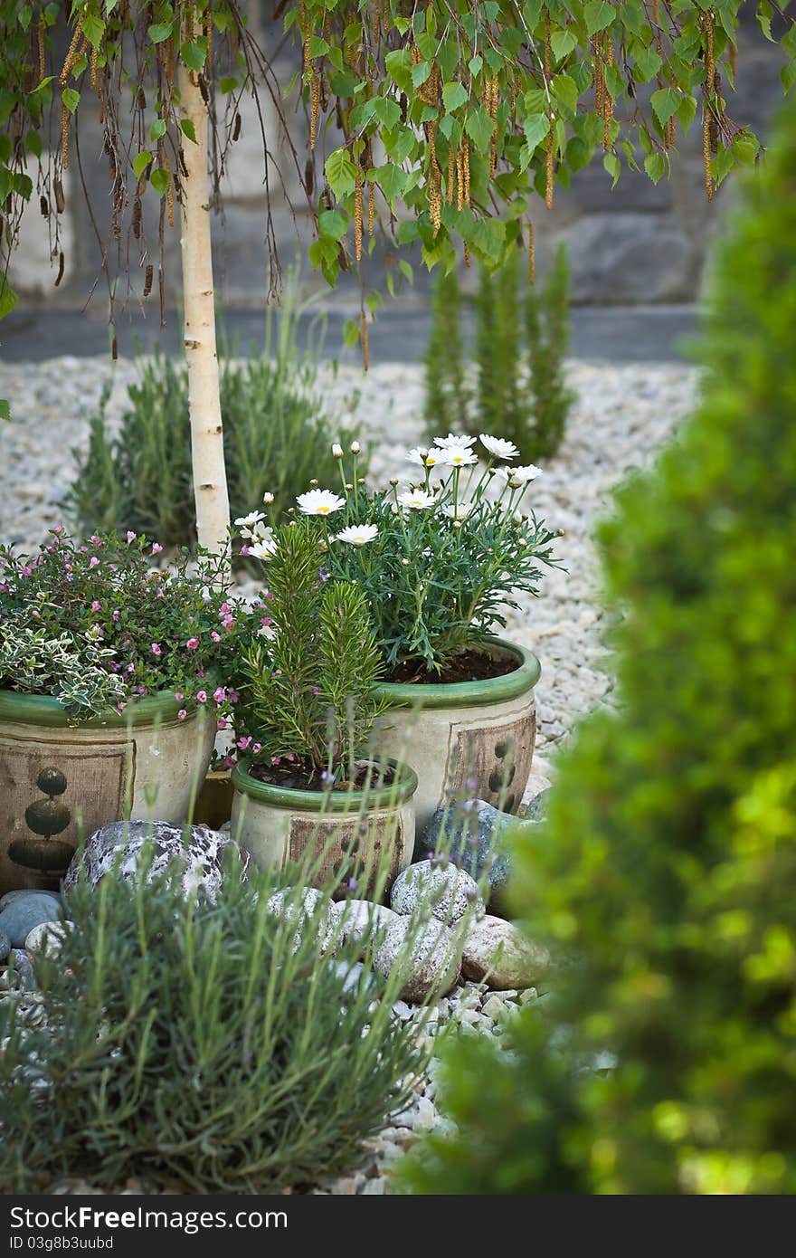 Mediterranean style gravelled part of the garden with pots and birch and a stoned wall in the background. Mediterranean style gravelled part of the garden with pots and birch and a stoned wall in the background