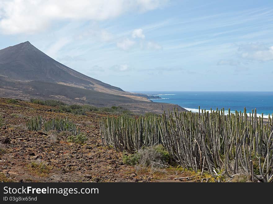 Fuerteventura