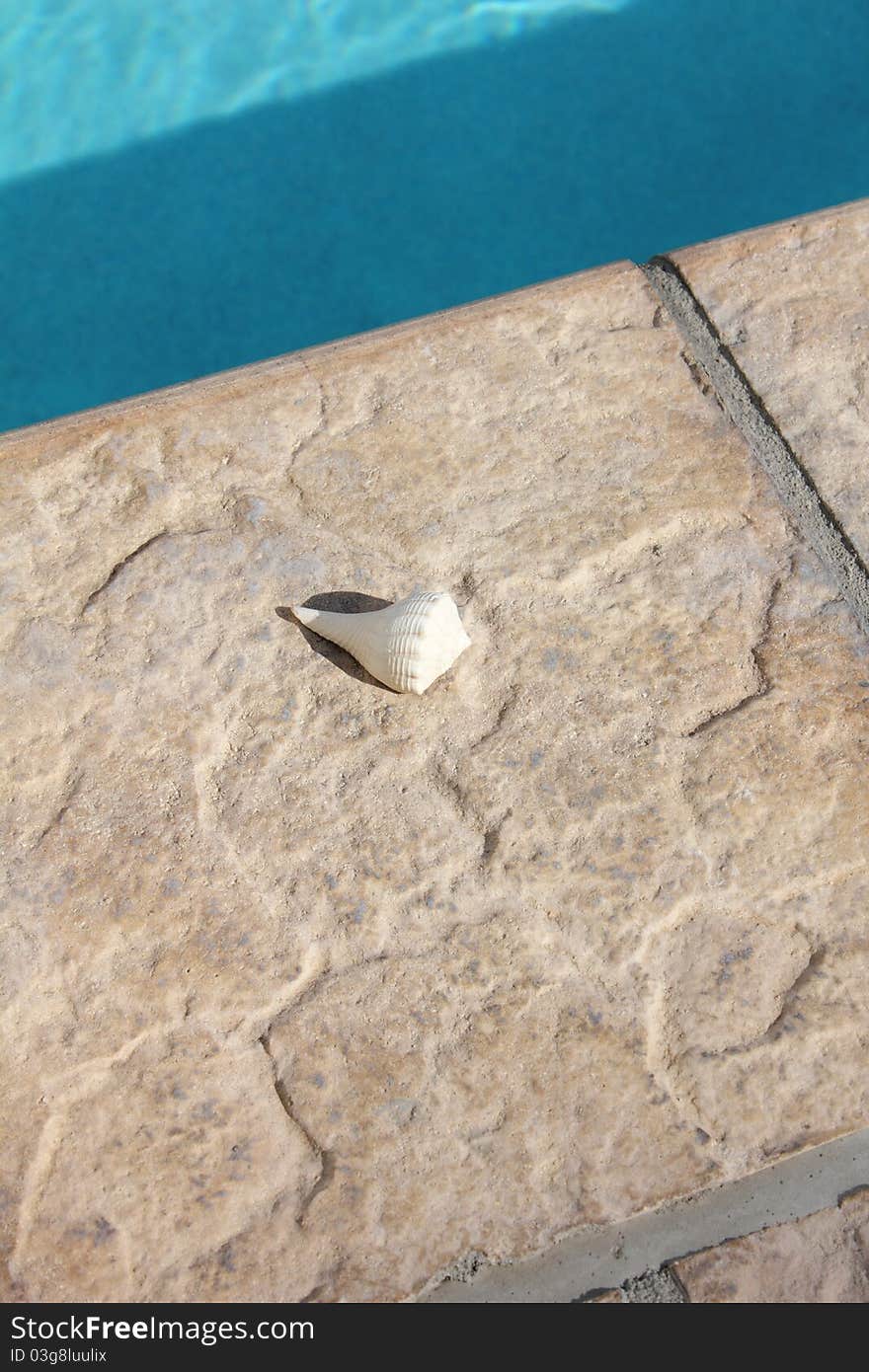 Sea shell on a pool edge at a resort. Sea shell on a pool edge at a resort