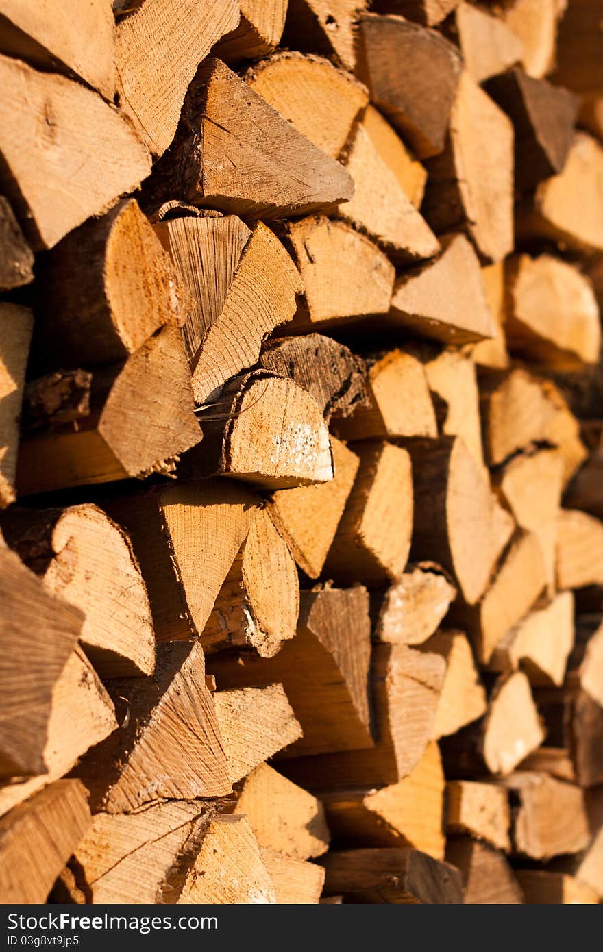 Stacks of firewood