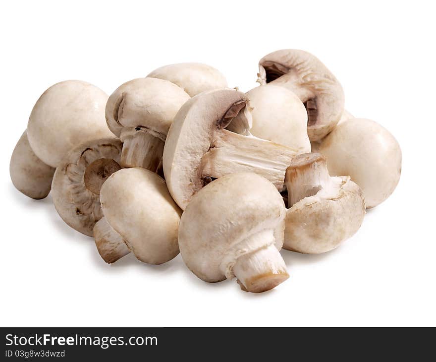 Color photo of white champignons. Color photo of white champignons