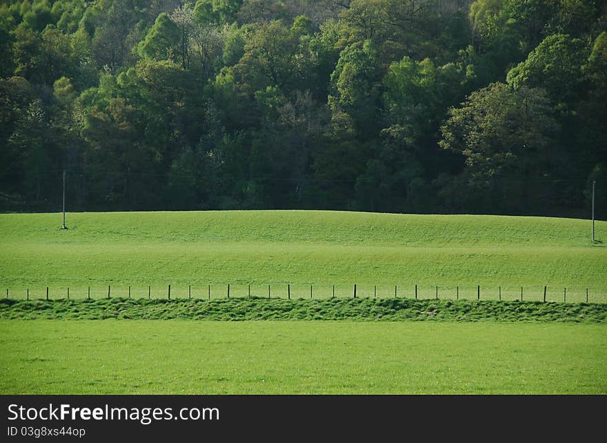 Spey valley in spring