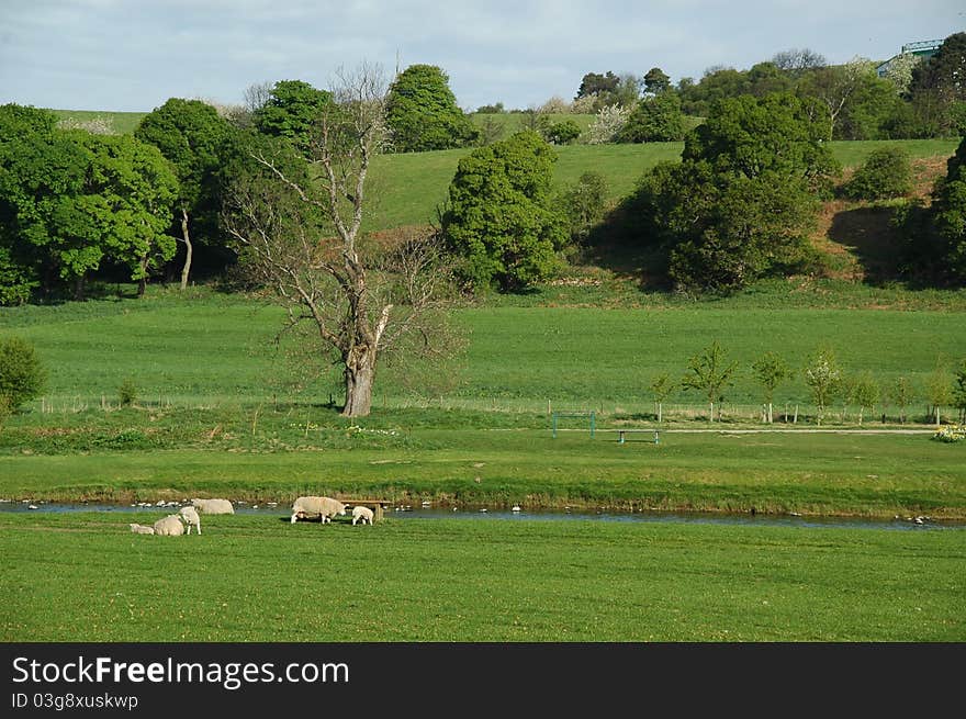 Spey Valley In Spring