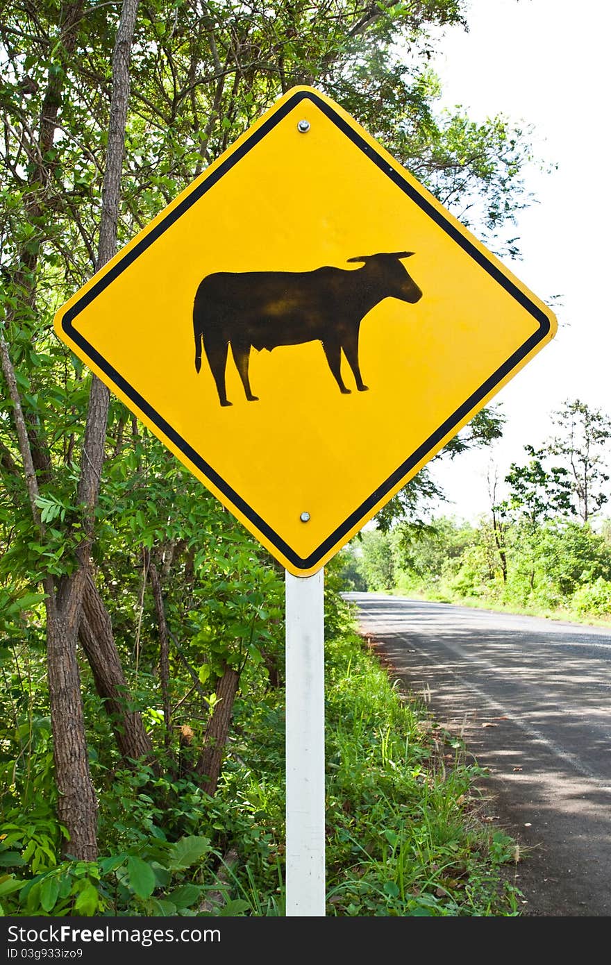 The Cattle crossing Sign,Countryside of Thailand