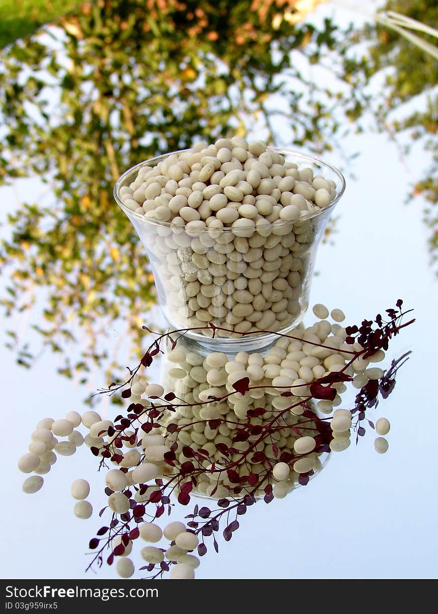 Still life of white dried beans on mirror