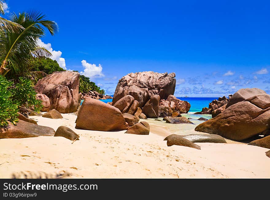 Tropical beach at Seychelles - vacation background