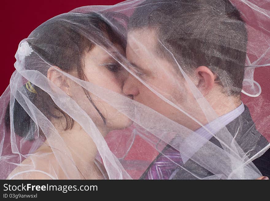 Kissing Couple newlyweds behind wedding veil