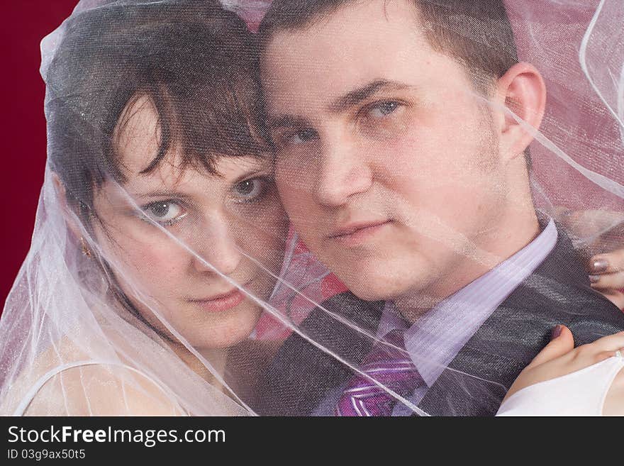 Hugging Couple newlyweds behind wedding veil; studio background.