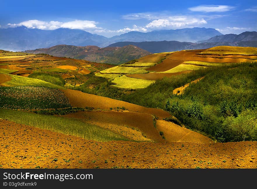 Wheat fields in the foreground, a gentle hill covered in grass, oat fields in the background and the blue sky create a landscape of contrasting colours. Wheat fields in the foreground, a gentle hill covered in grass, oat fields in the background and the blue sky create a landscape of contrasting colours.