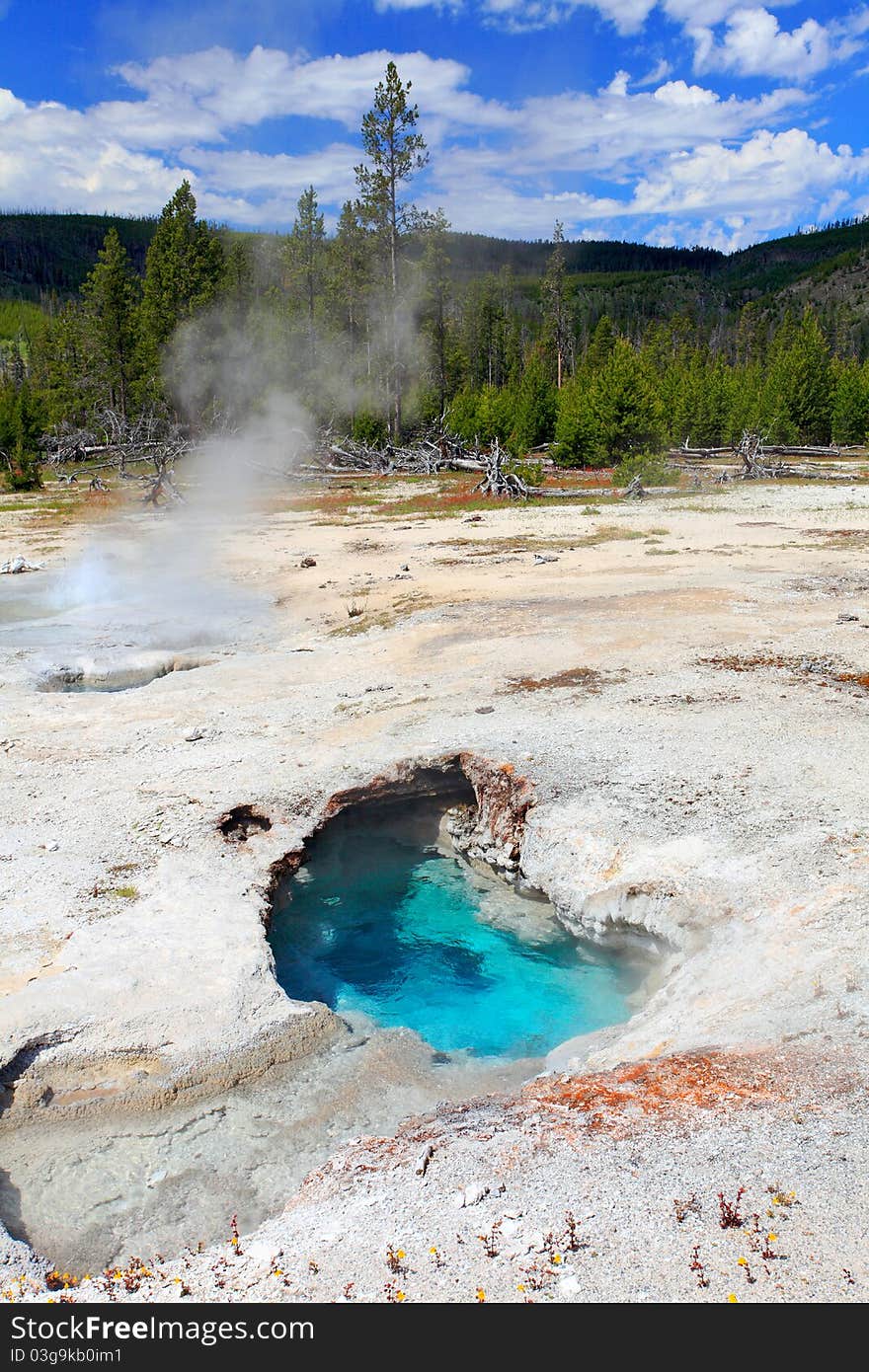 Little pool in Biscuit Basin Spring Scenic Area,South Yellowstone National Park.