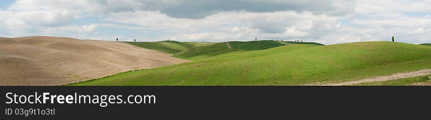 Overview of land and crops in Siena in Tuscany. Overview of land and crops in Siena in Tuscany