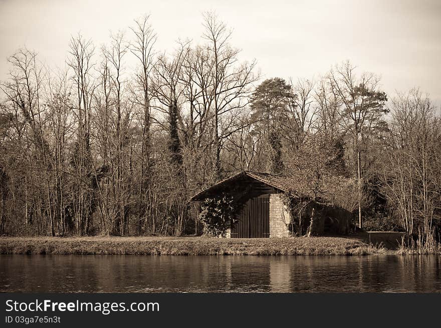 Alone in the wood