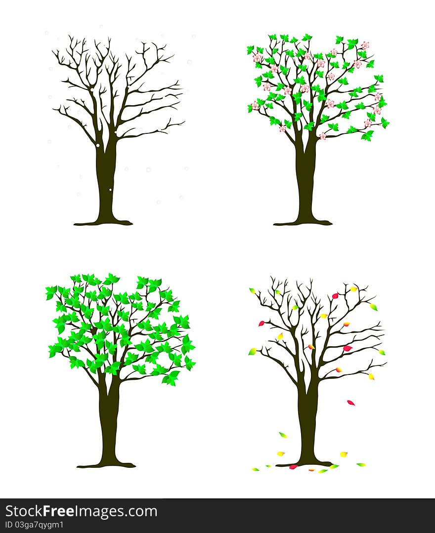 Four seasons trees over white illustration