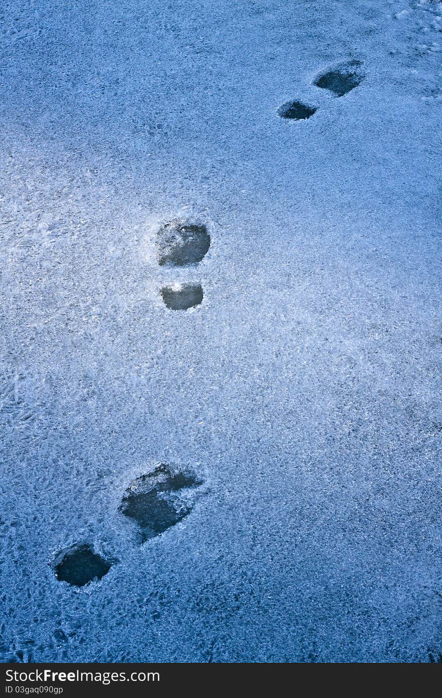 Footprints in the snow.