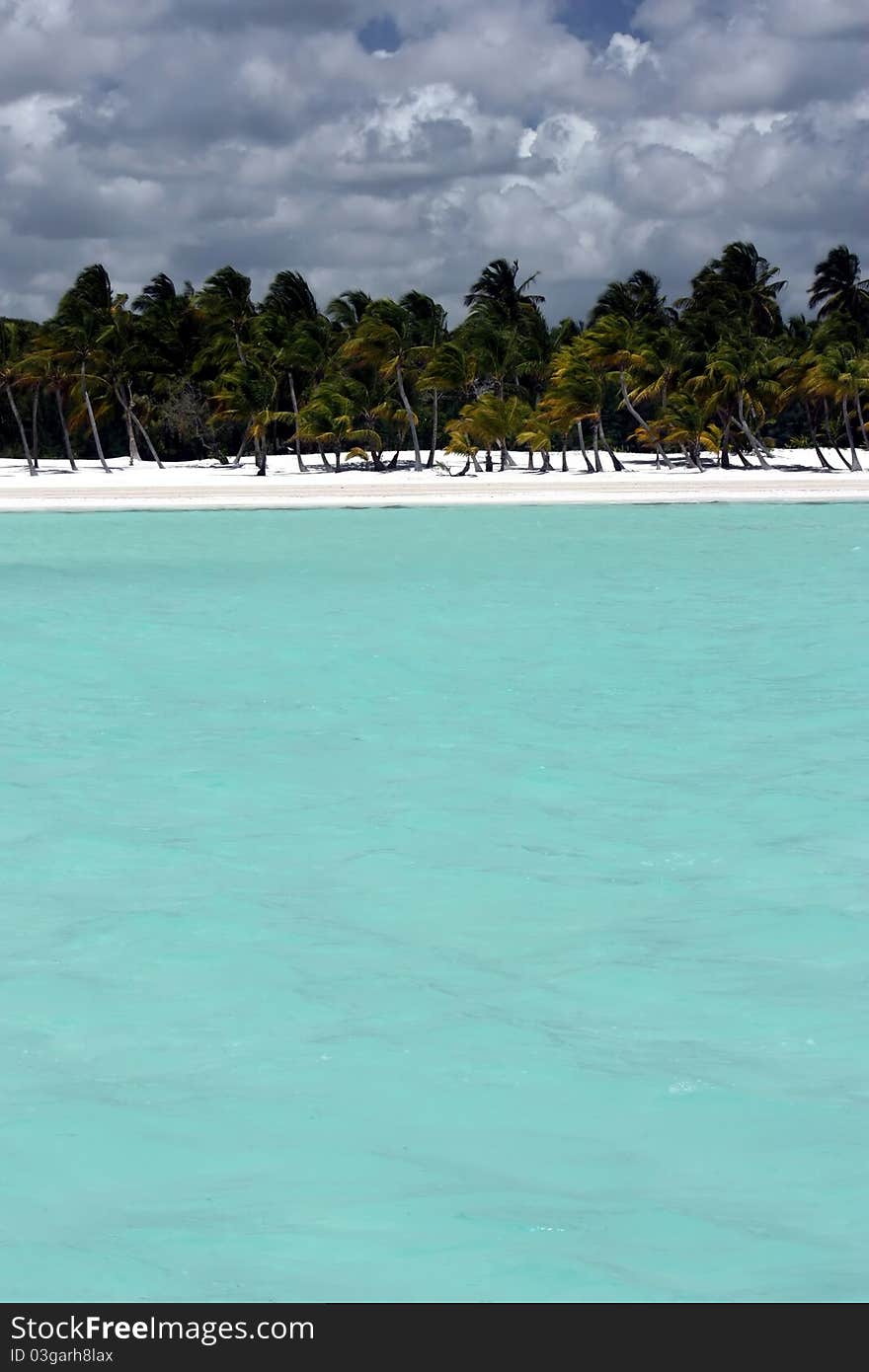 Turquoise ocean, white sand beach and palm trees. Turquoise ocean, white sand beach and palm trees