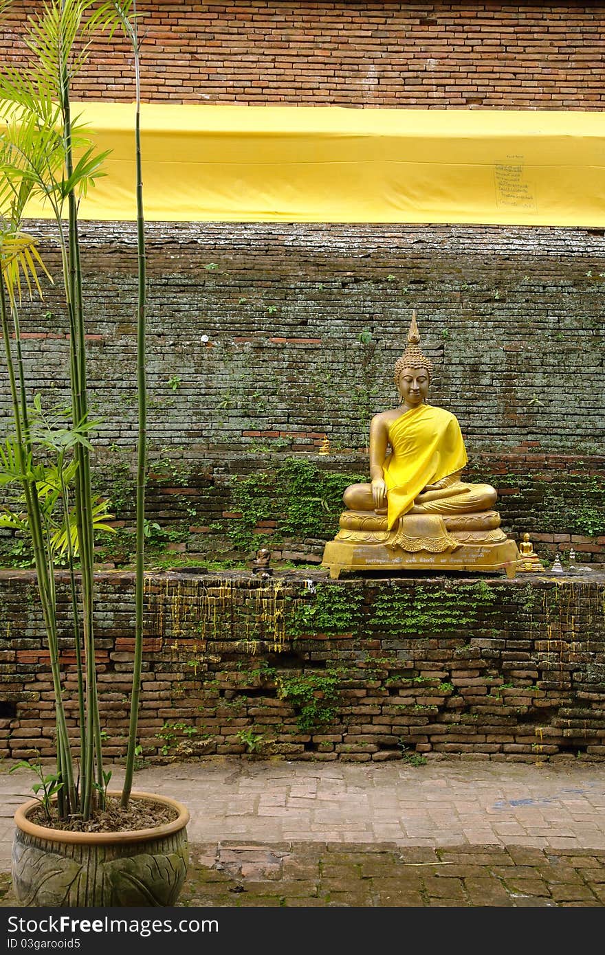 Stillife with the statue of Buddha and bamboo tree. Stillife with the statue of Buddha and bamboo tree