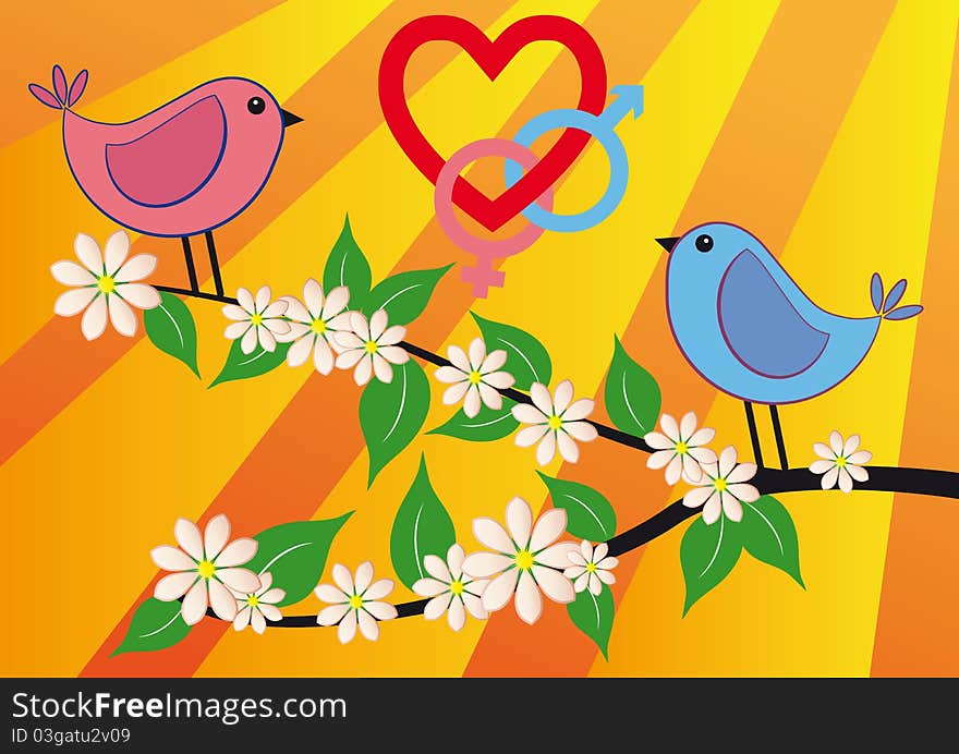 Pink bird and blue bird with love symbol. Pink bird and blue bird with love symbol