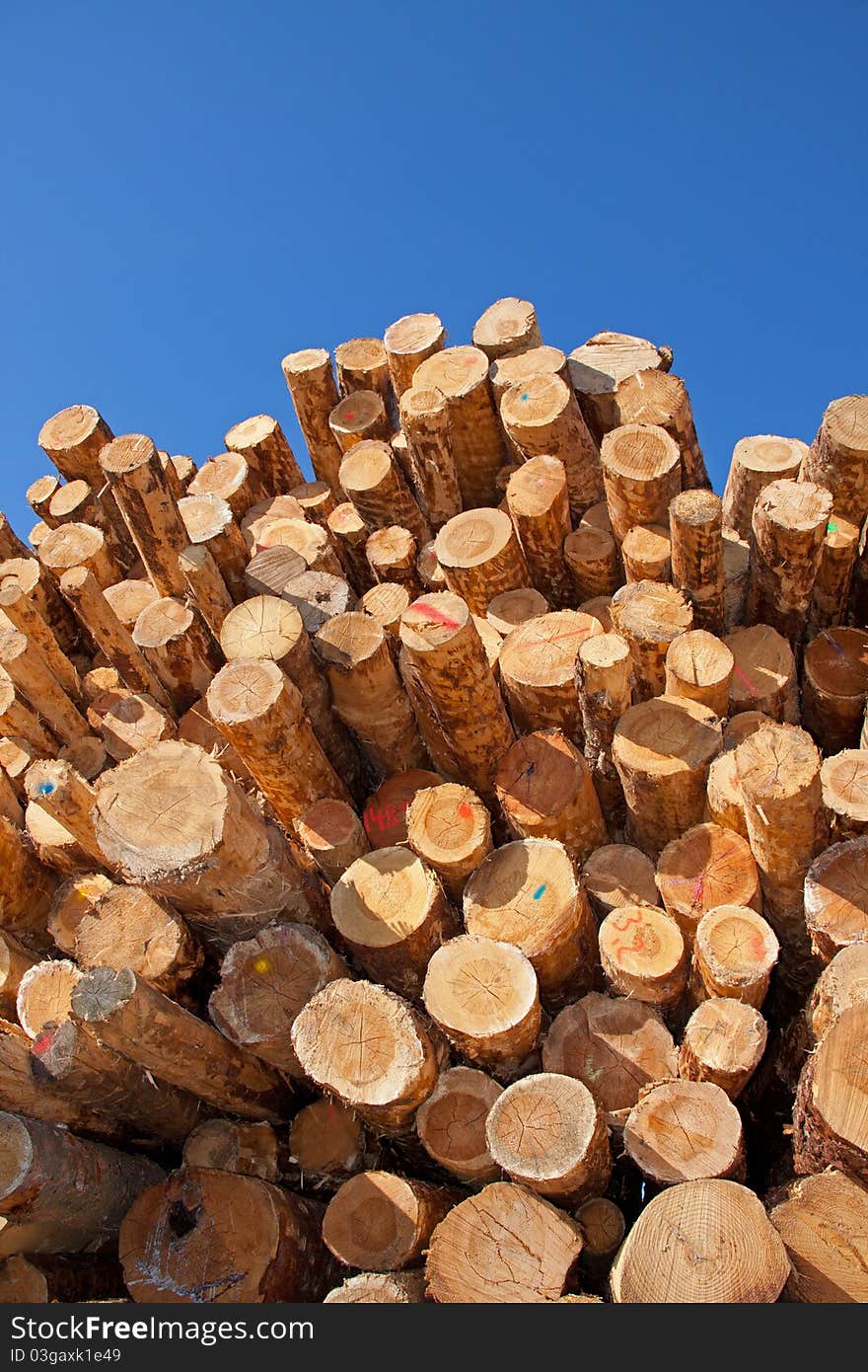 Woodpile in the sun in front of blue sky