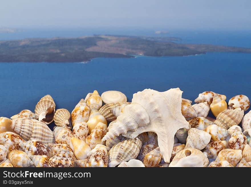 Greek island ,seashells and oysters