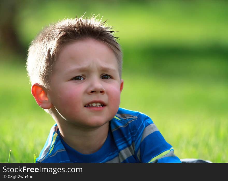 Happy little boy at the park on green grass. Happy little boy at the park on green grass