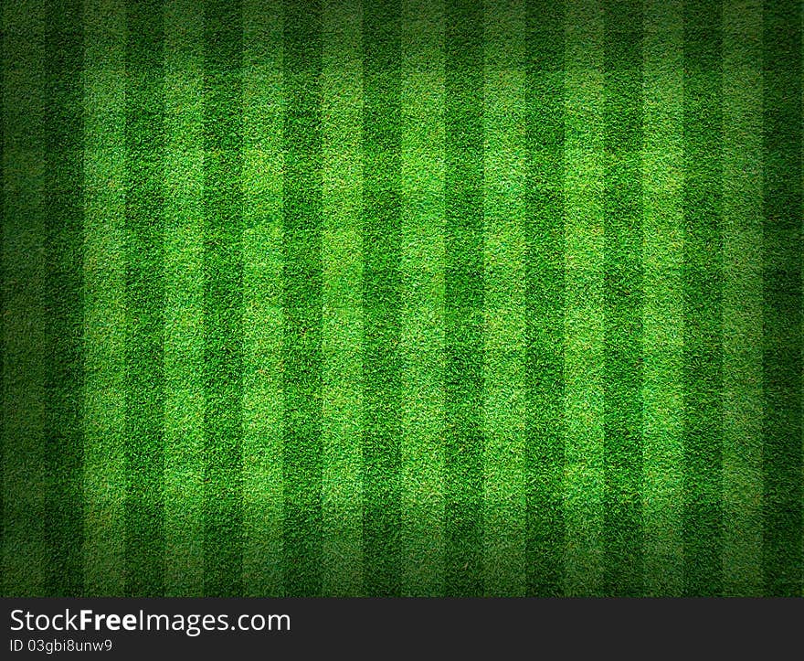 Real green grass field