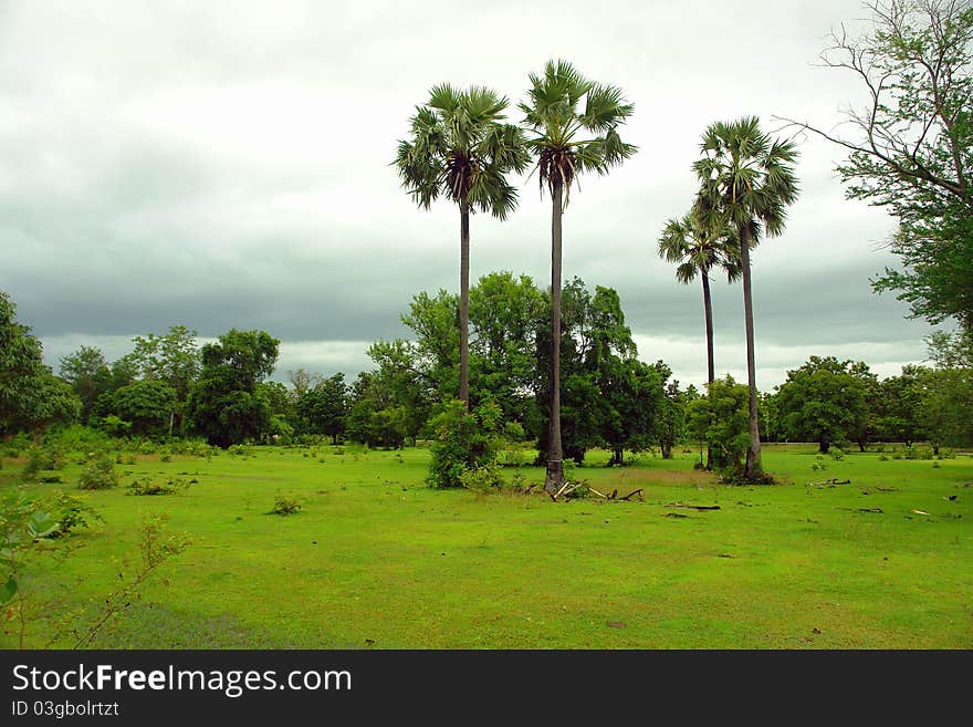 Scenic view of tropical lanscape, Thailand. Scenic view of tropical lanscape, Thailand